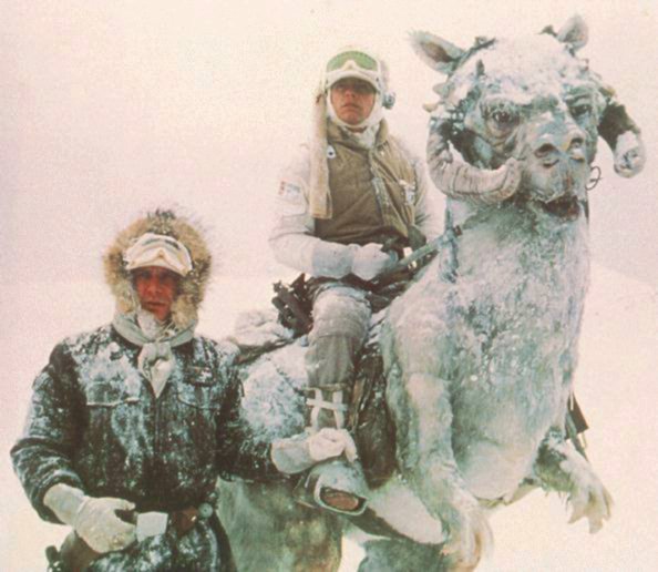 tauntaun-to-school.jpg