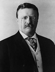 189px-President_Theodore_Roosevelt_1904.jpg