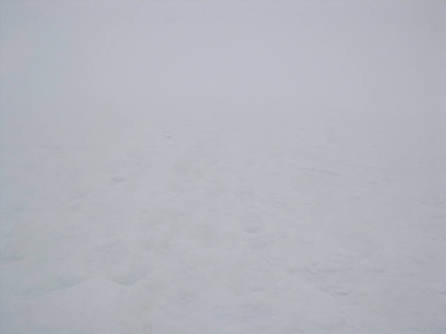 4525Whiteout.jpg