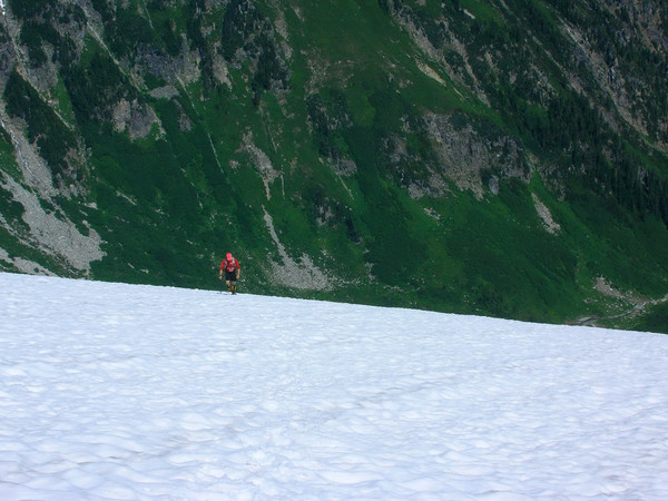 ptarmigan0050.JPG