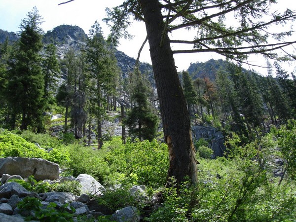 Crags_-_June_2008_003.JPG