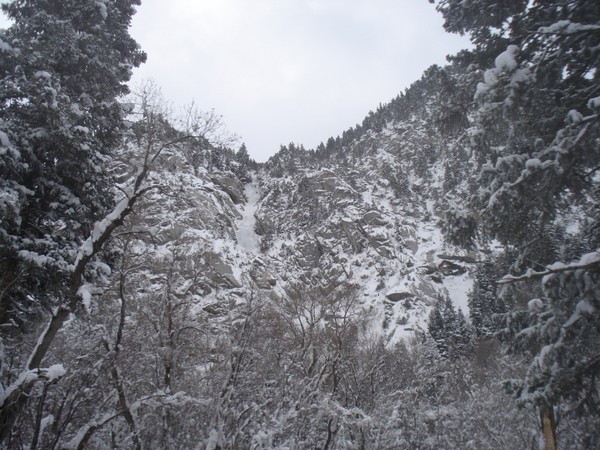 The_Great_White_Icicle_Upper_2_pitches_visible_from_near_the_trail_head.JPG