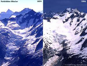 83forb-glacier-ba2-med.jpg