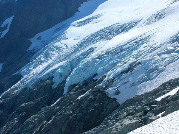 ptarmigan0020.JPG