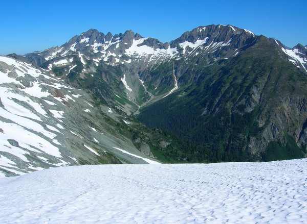 ptarmigan0022.JPG