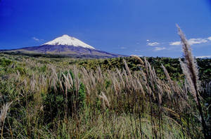 4764cotopaxi02copy-med.jpg