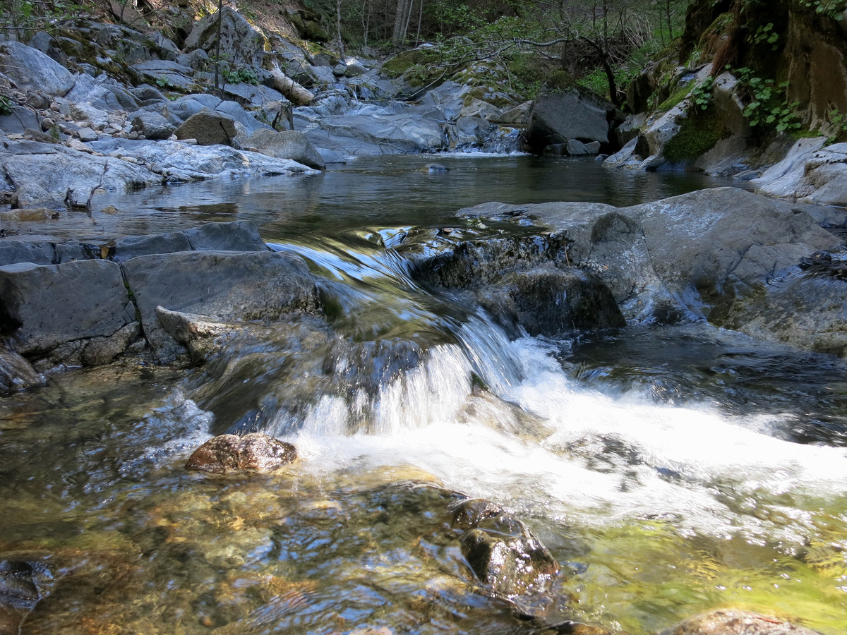Church Creek & Pine Valley - Leor Pantilat's Adventures