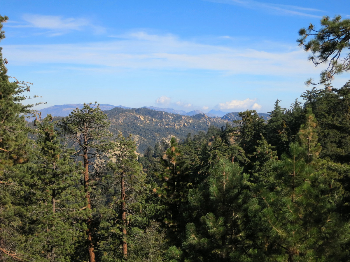 Reyes Peak & Haddock Mountain Leor Pantilat's Adventures