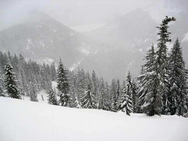 Silver_Summit_Ridge_and_Mt_Catherine.jpg