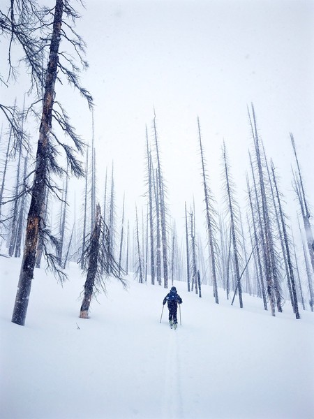 Wallowa_Mountains_2016-01-28_at_13-02-38.jpg