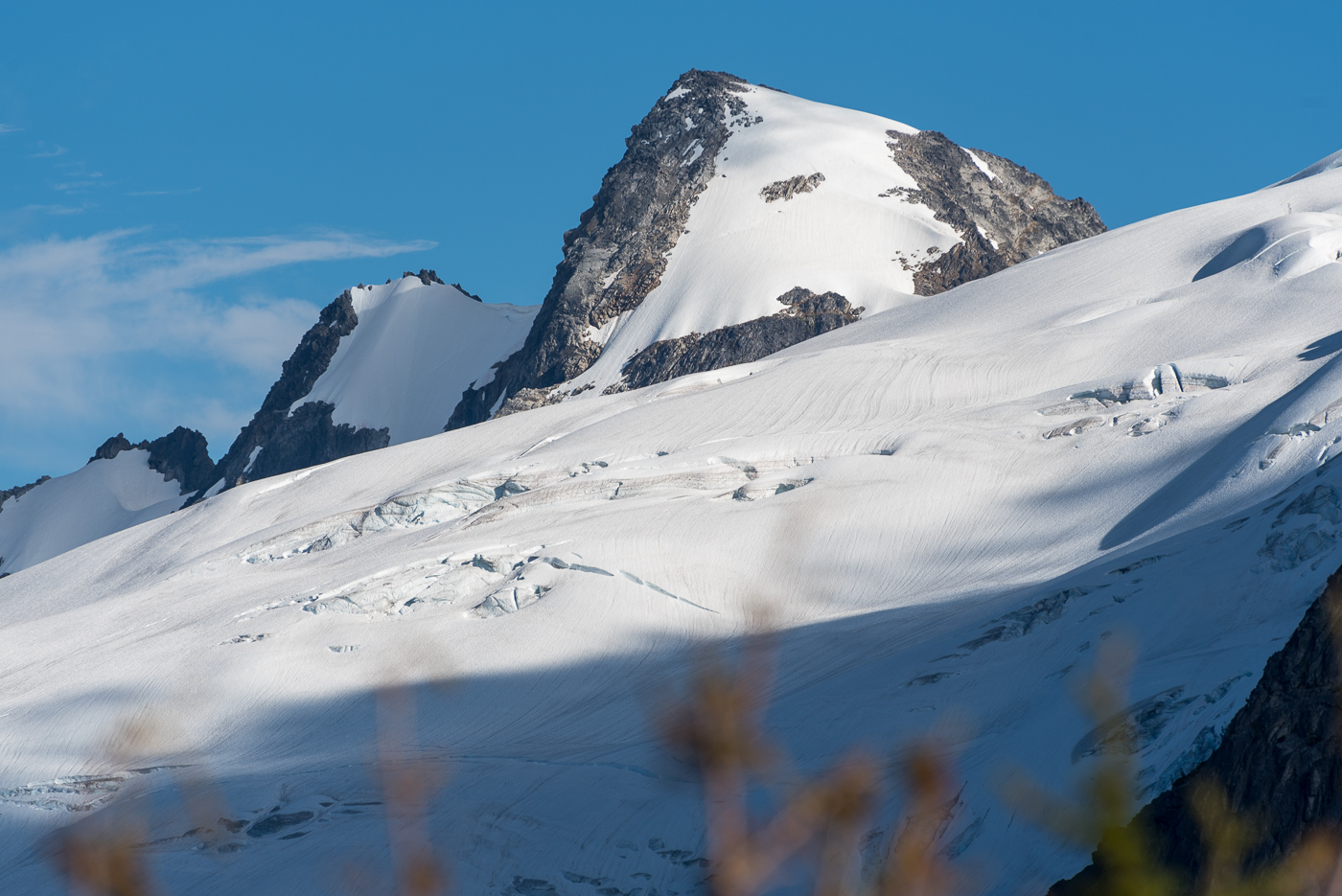 2022ptarmithumb98940.JPG.99e63f953cb6584ac7e01e870f080491.JPG