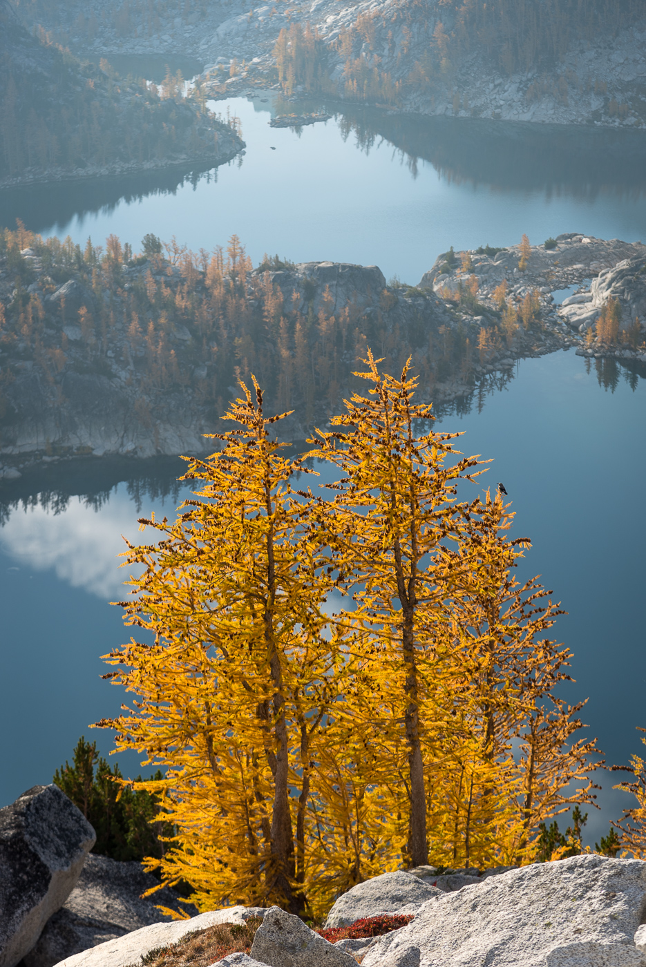 202220thEnchantments102353.JPG.6d05aaf8159e292fc3553d54e39b755b.JPG