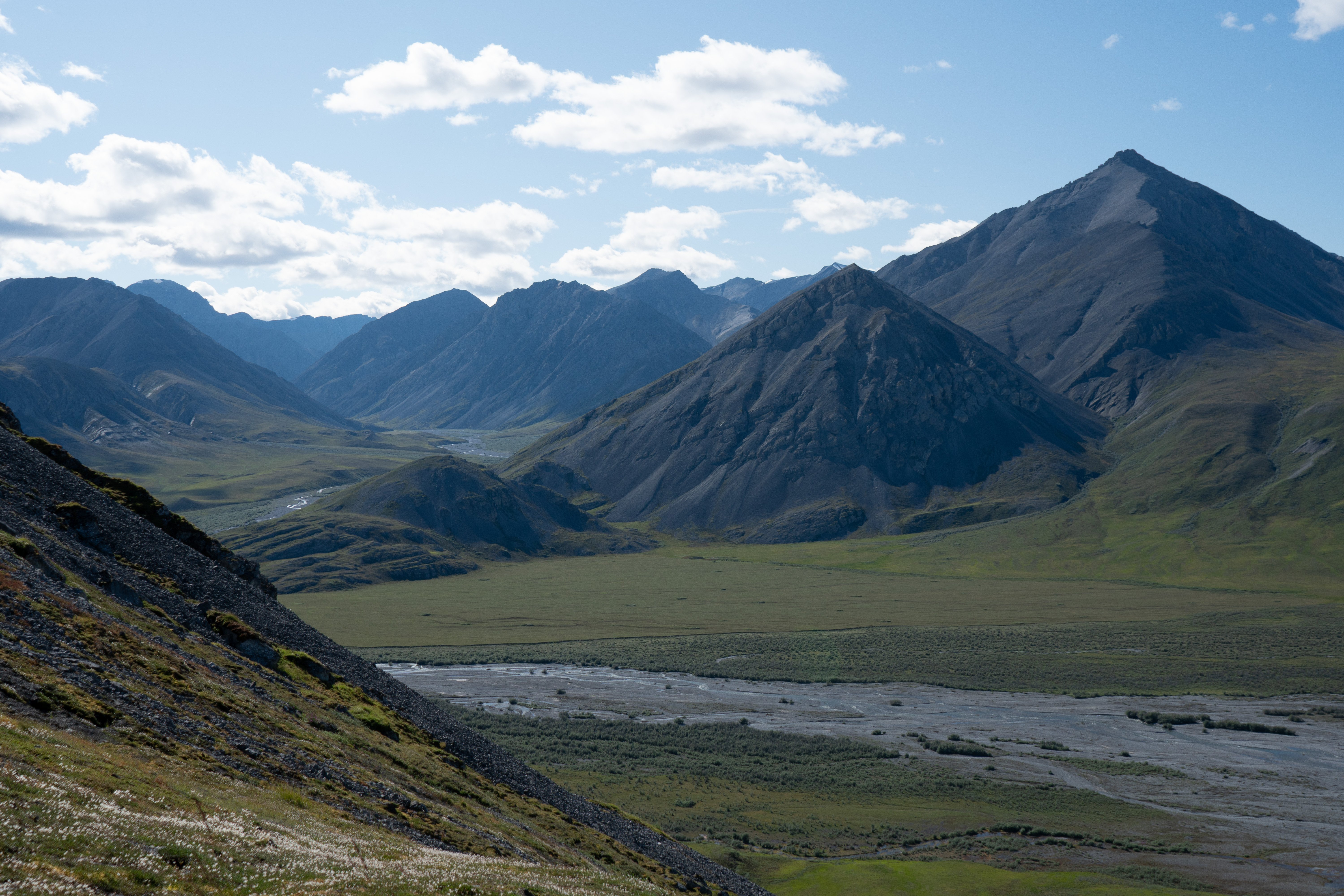 DSC08501.jpg.c5d93d99f3e2f39ab31428d4d63993ef.jpg