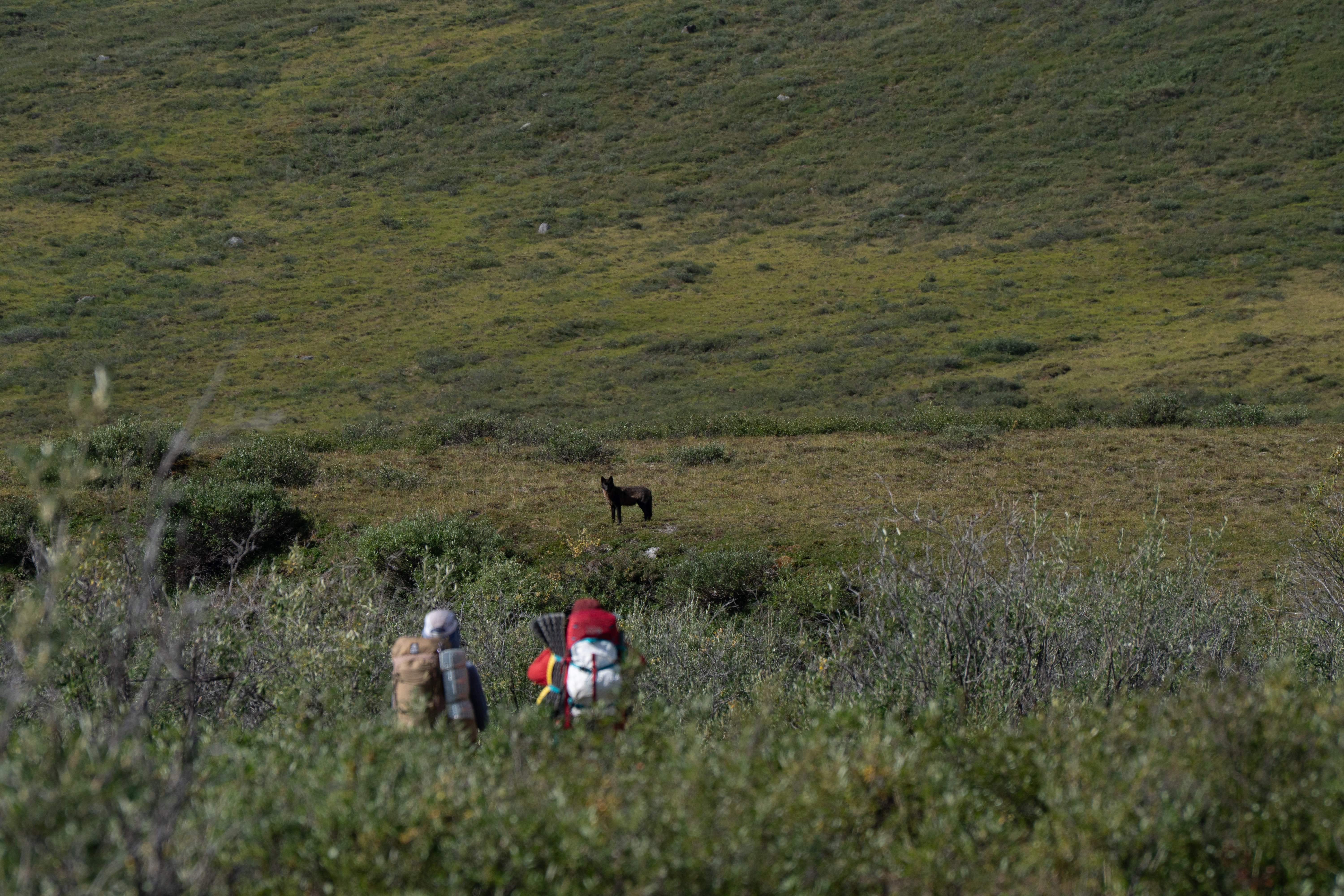 DSC08539.jpg.38e56b50a88413e27ace1e37c2d0bc9f.jpg