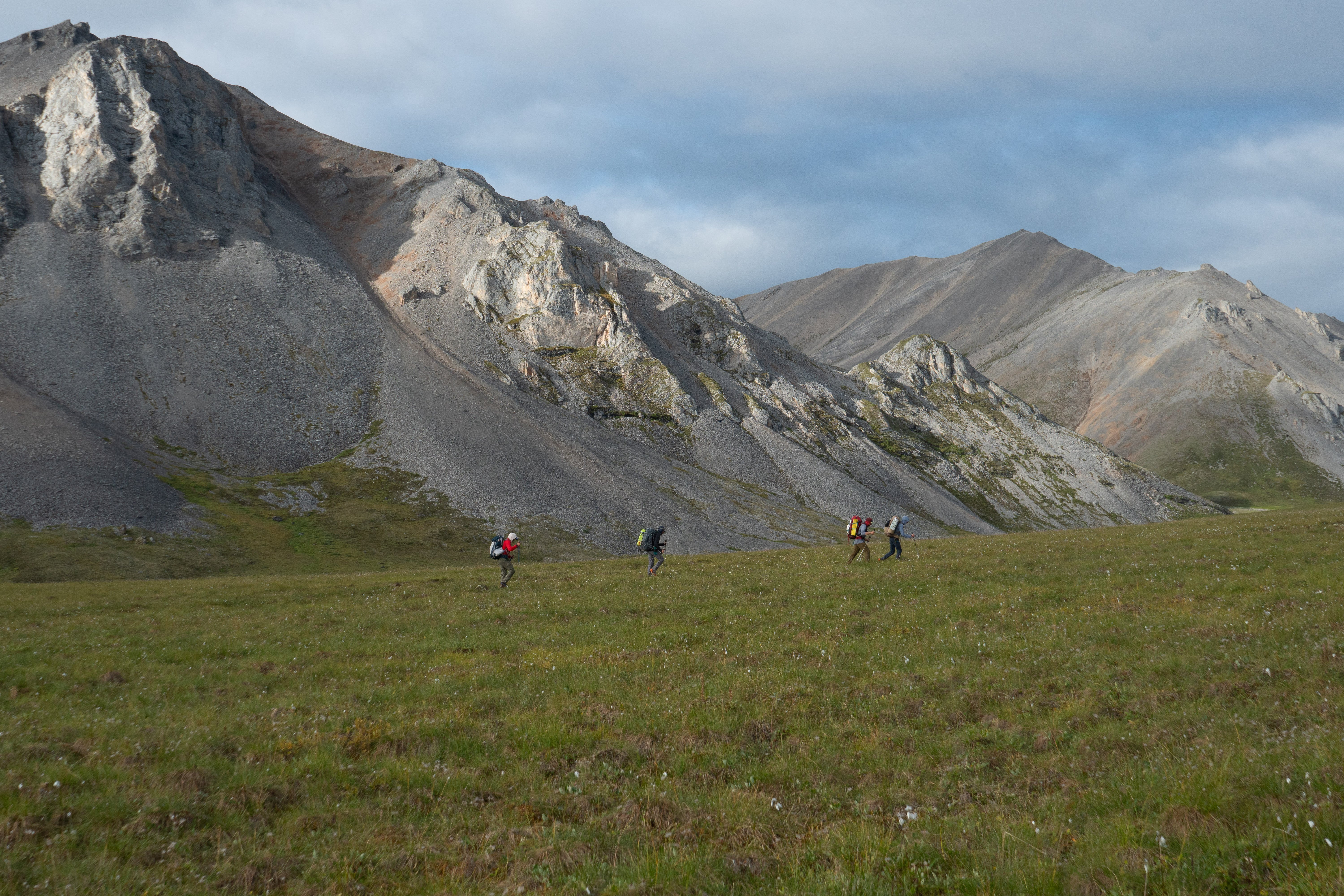 DSC08585.jpg.23e32b9b76203709d412976e6ff46320.jpg