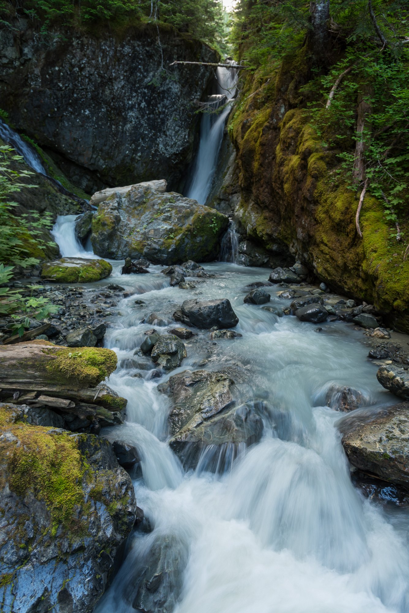 2025vanisle122607.jpg.8ecbe84f2e3e97a1f904b409e7461e39.jpg