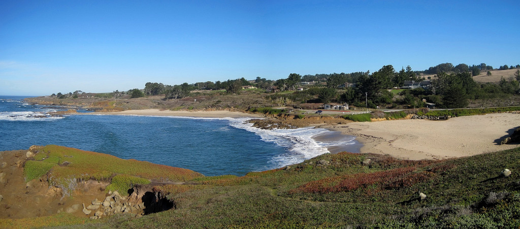 Bean Hollow State Beach – Leor Pantilat's Adventures